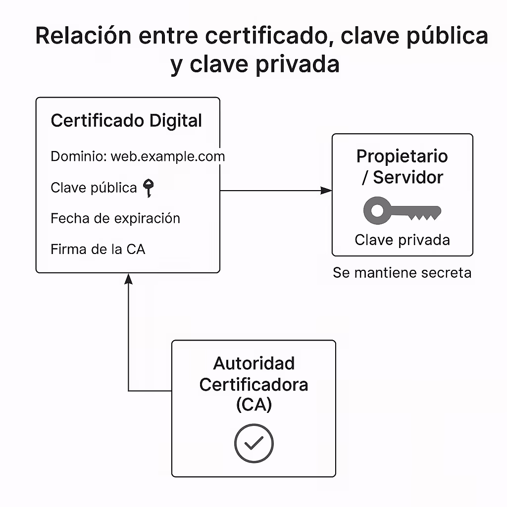 Relación entre certificado, clave pública y clave privada